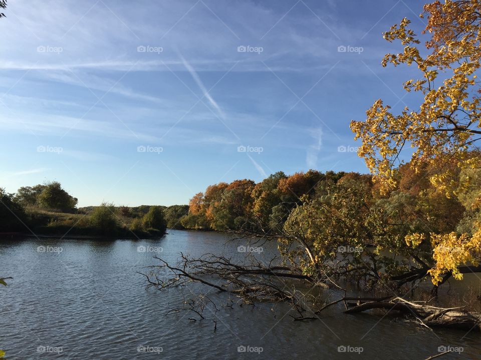 Pale amber sunlight falls across
The reddening October trees...