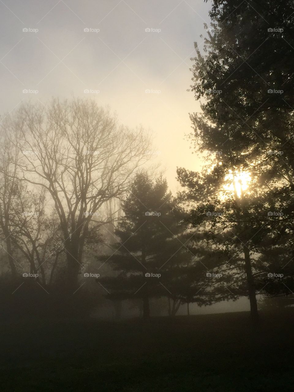 Foggy sunrise in New Richmond, OH