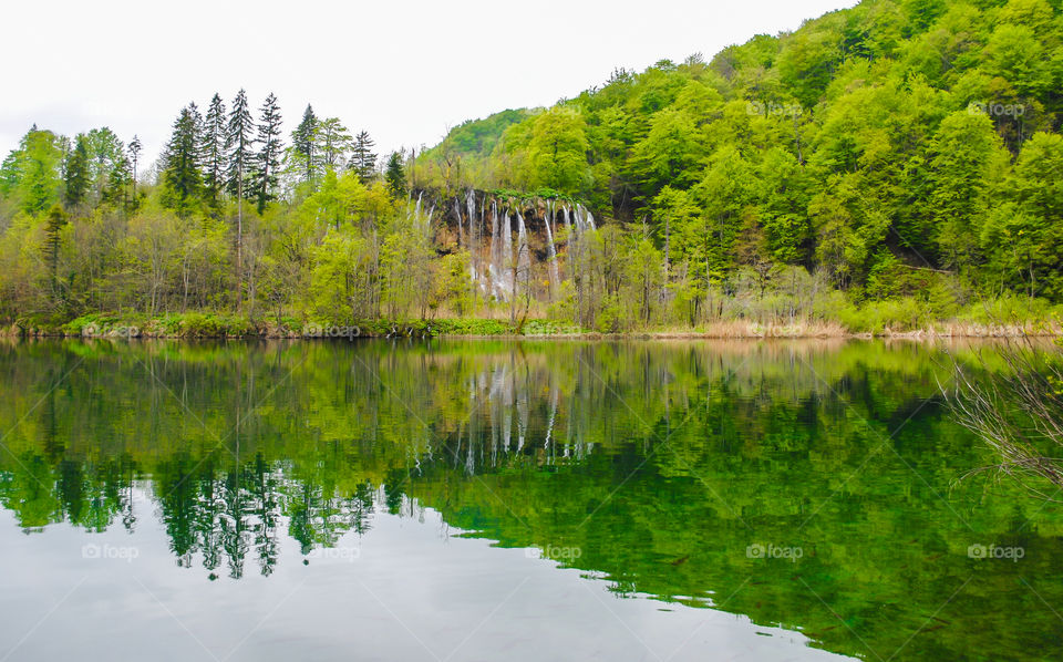 Reflection. Beautiful reflection of nature, landscape of forest and waterfalls in national park Plitvice lakes, Croatia, Europe 