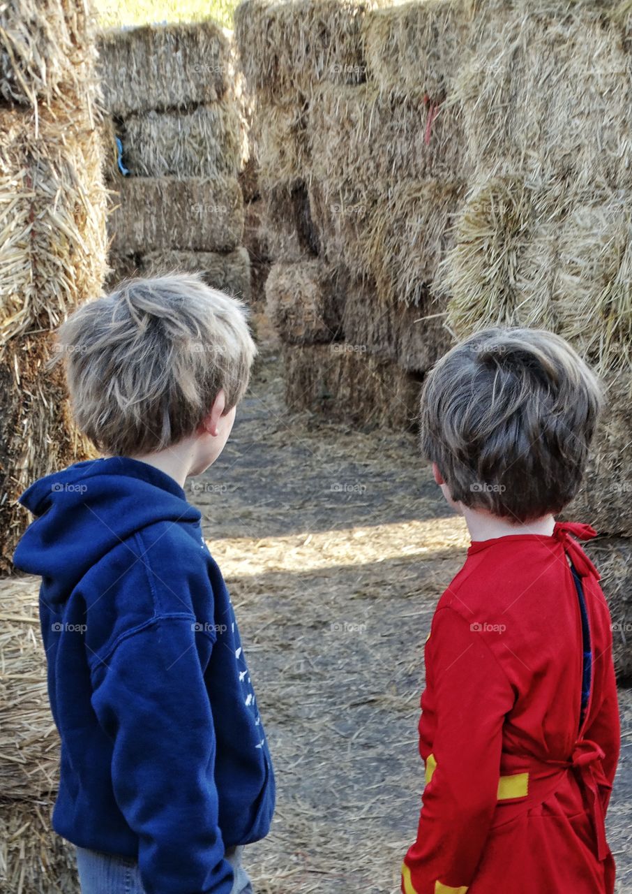 Boys Playing In Haystacks
