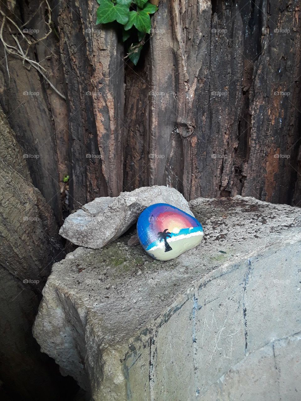 Partly hidden Virginia rock found in Maymont park in Richmond, Virginia. Bright colored to balance out the dark tree bark.