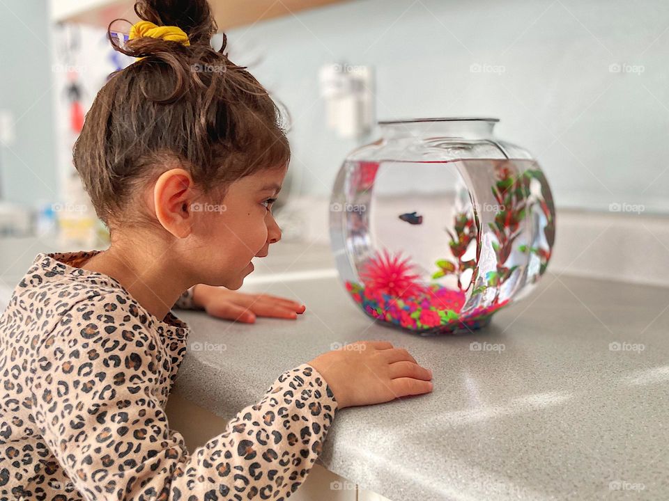 Little girl gets a pet, toddler gets a fish, looking at a fish, Betta fish in a tank, toddler girl loves fish, excited about her new pet 