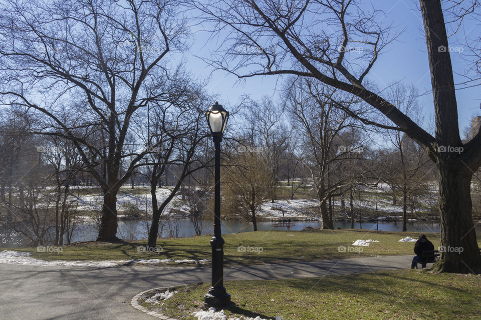 Central Park, New York City, USA.