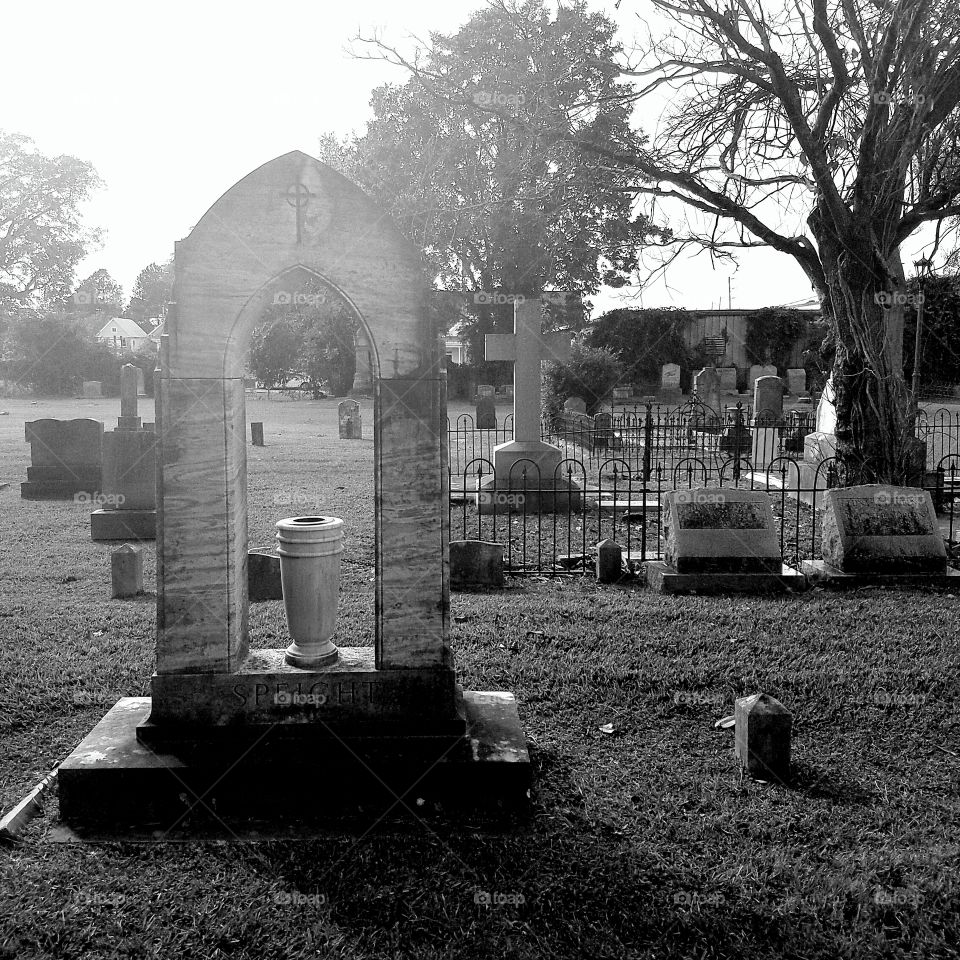 cemetery Halloween