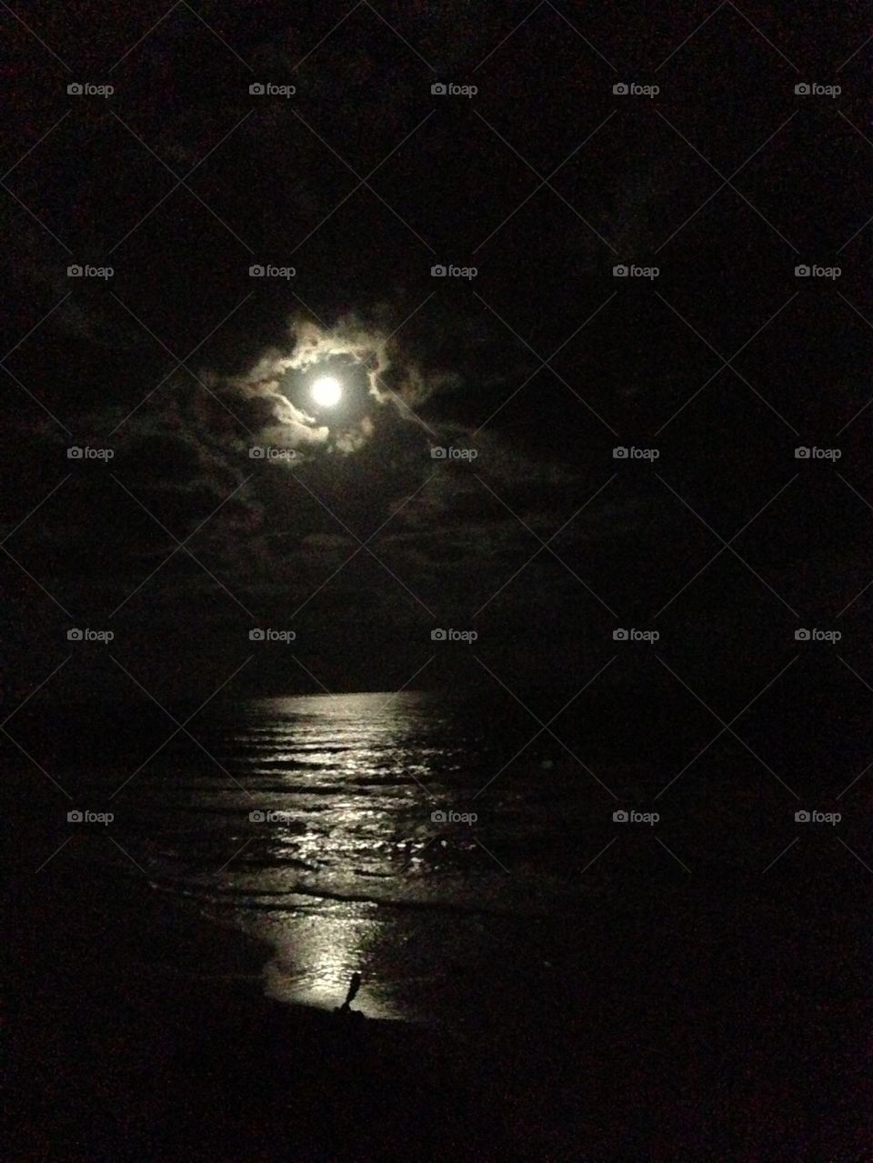 Full moon on the beach