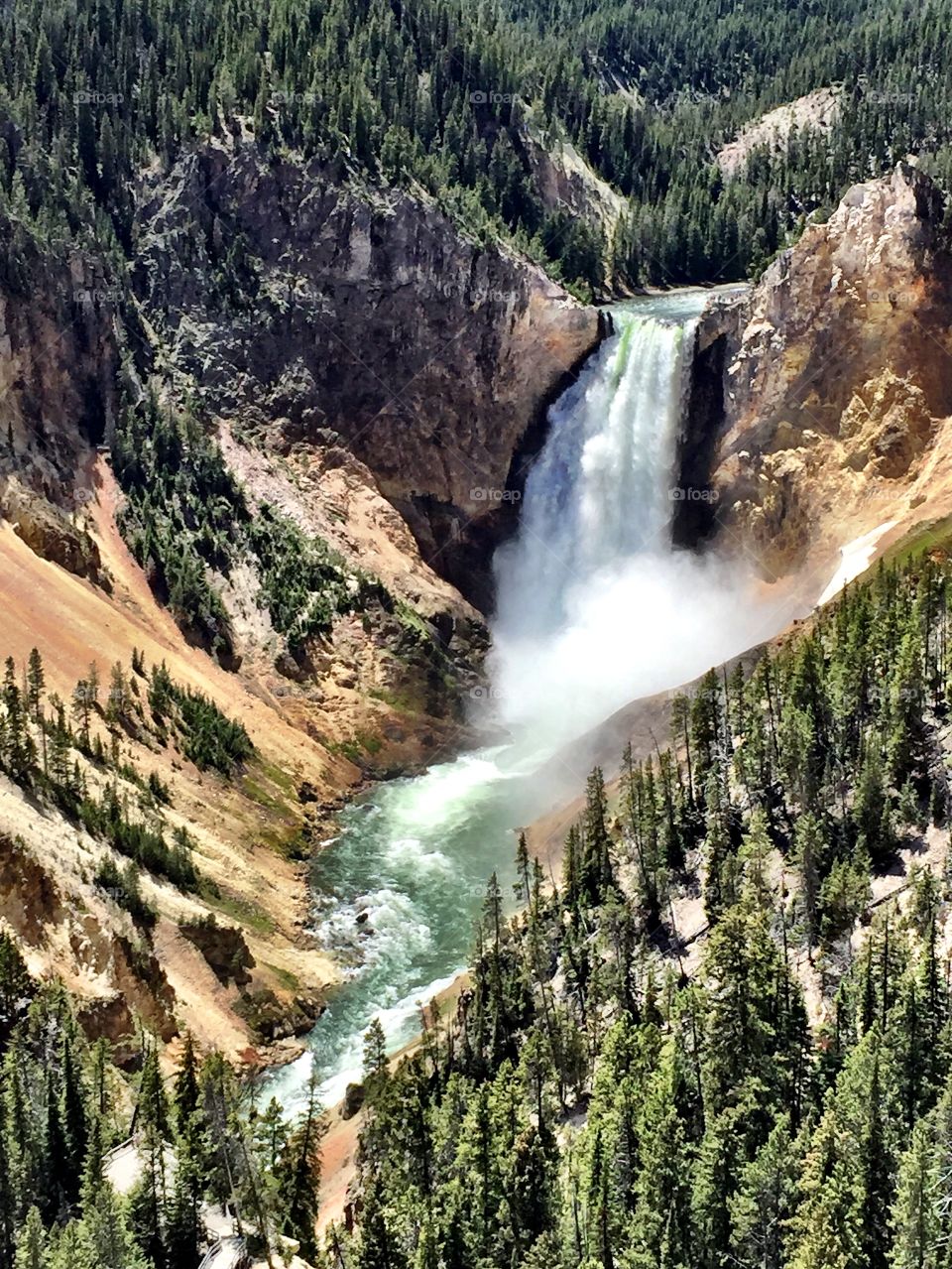 Yellowstone waterfall