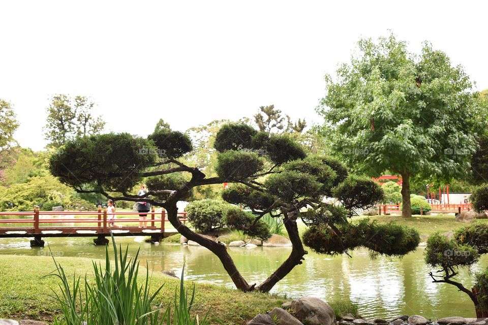 Complejo Cultural y Ambiental Jardín Japones , Bs As  Argentina