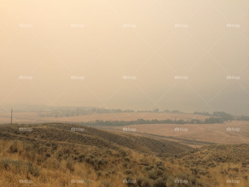 Smokey mountain hike! 