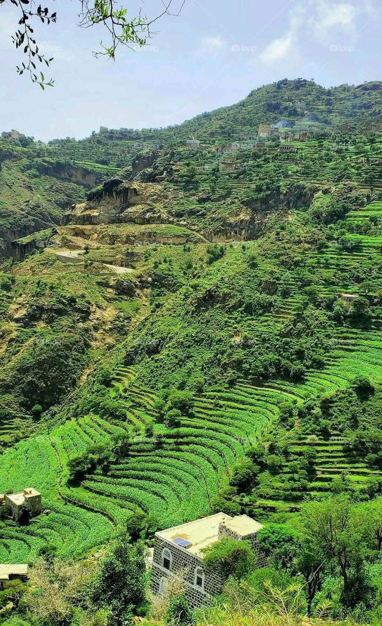 Glory be to God, the magnificent and picturesque view and the natural green trees are a view that is nothing more wonderful than it