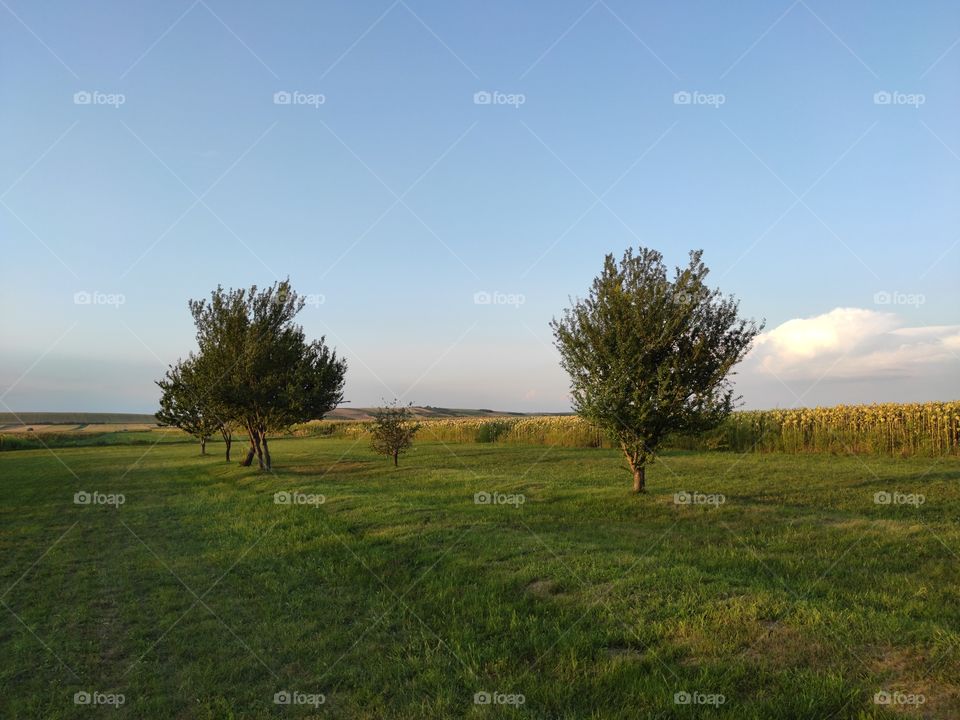 Serbia2go: enjoy Beska near Novi Sad fertile plains near river Danube