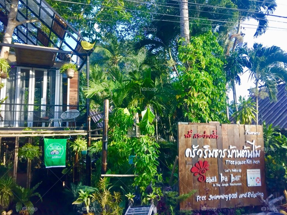 Restaurant  at jungle