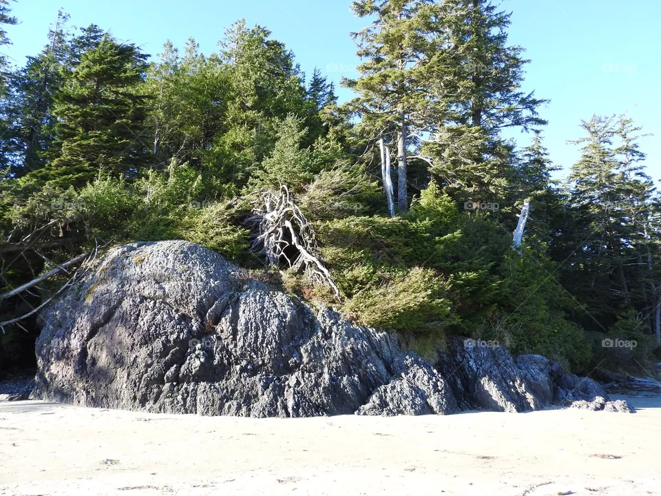Rocks