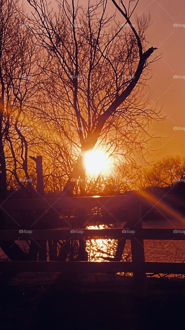 Evening silhouette Sunset Twilight heading on a crash Course for Night. Reflections of the Sun cascading over Lake Waters. Sun Rays exploding through Leafless branches of the Trees. Beautiful 