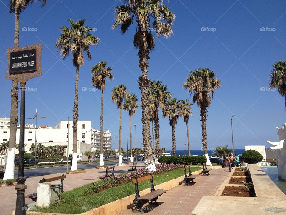 Waterfront of Algiers, Algeria