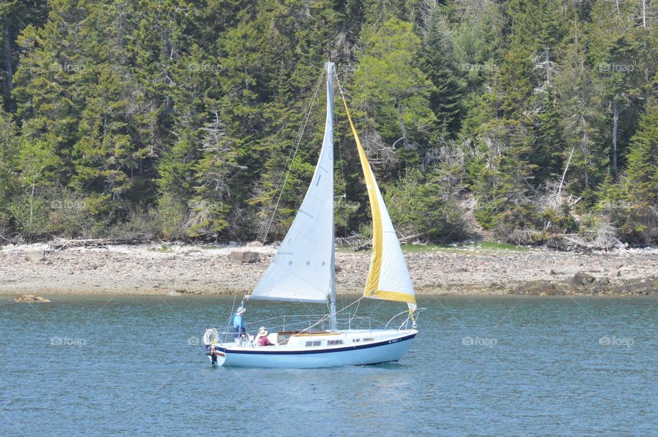 Bar Harbor 