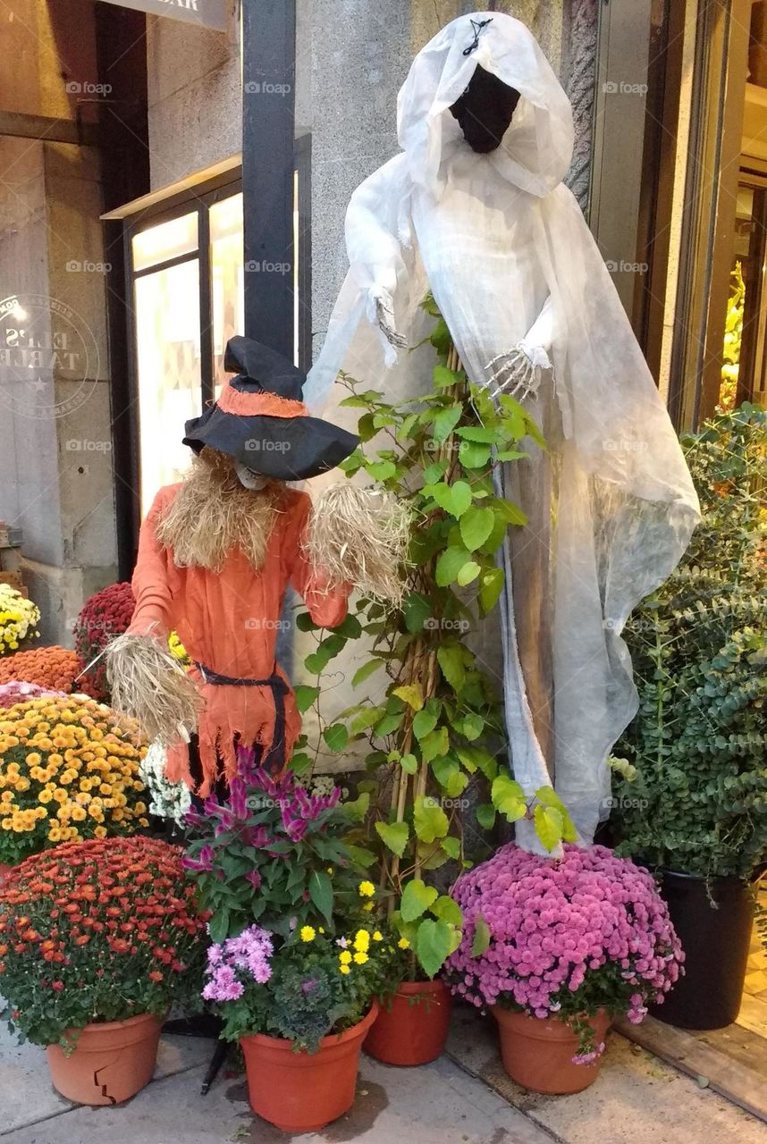 Spooky Ghost in the Plants With Spooky Scarecrow