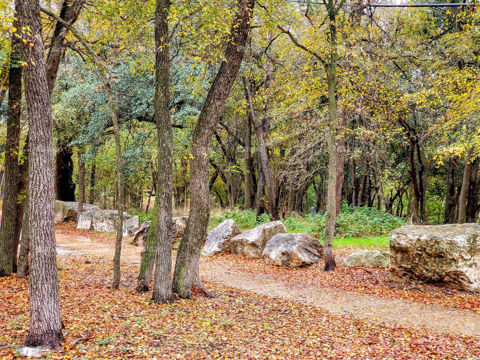 Hiking trail in the fall.  Yellow leaves on trees and brown leaves on the ground.