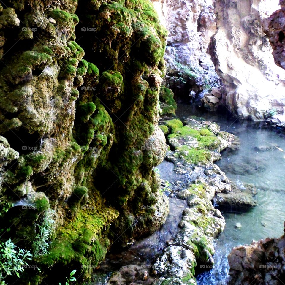Natural park in Avignon in France