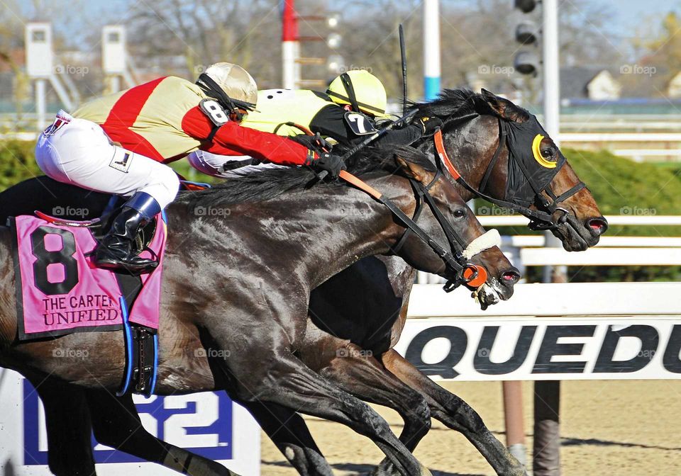 Green Gratto on the rail upsets the 4-5 favorite Unified and jockey Javier Castellano in the Carter Handicap at Aqueduct. It was trainer Gaston Grant's first G1 win of his young career as his 7 year old horse surpassed the million dollar earnings mark. Ridden by Chris Decarlo, Green Gratto went wire to wire to light up the tote board at odds of 54-1.
zazzle com/fleetphoto