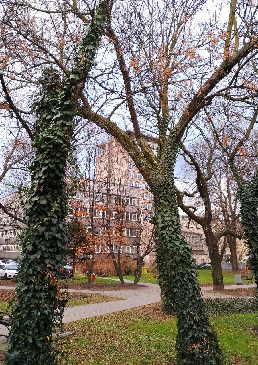 park