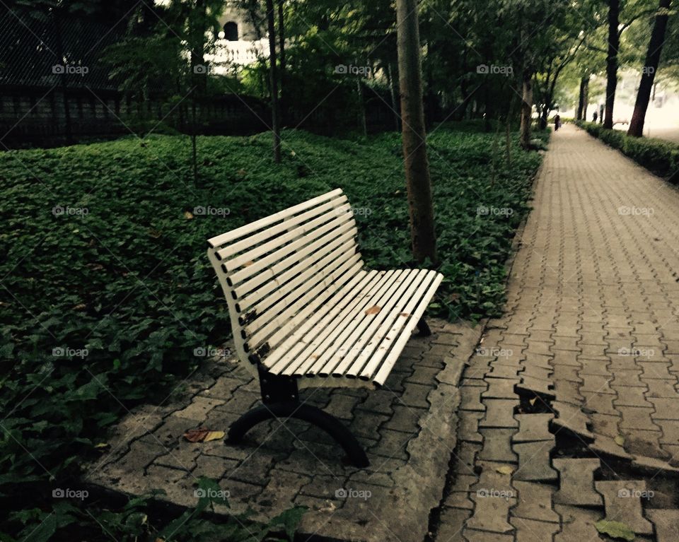 Bench 