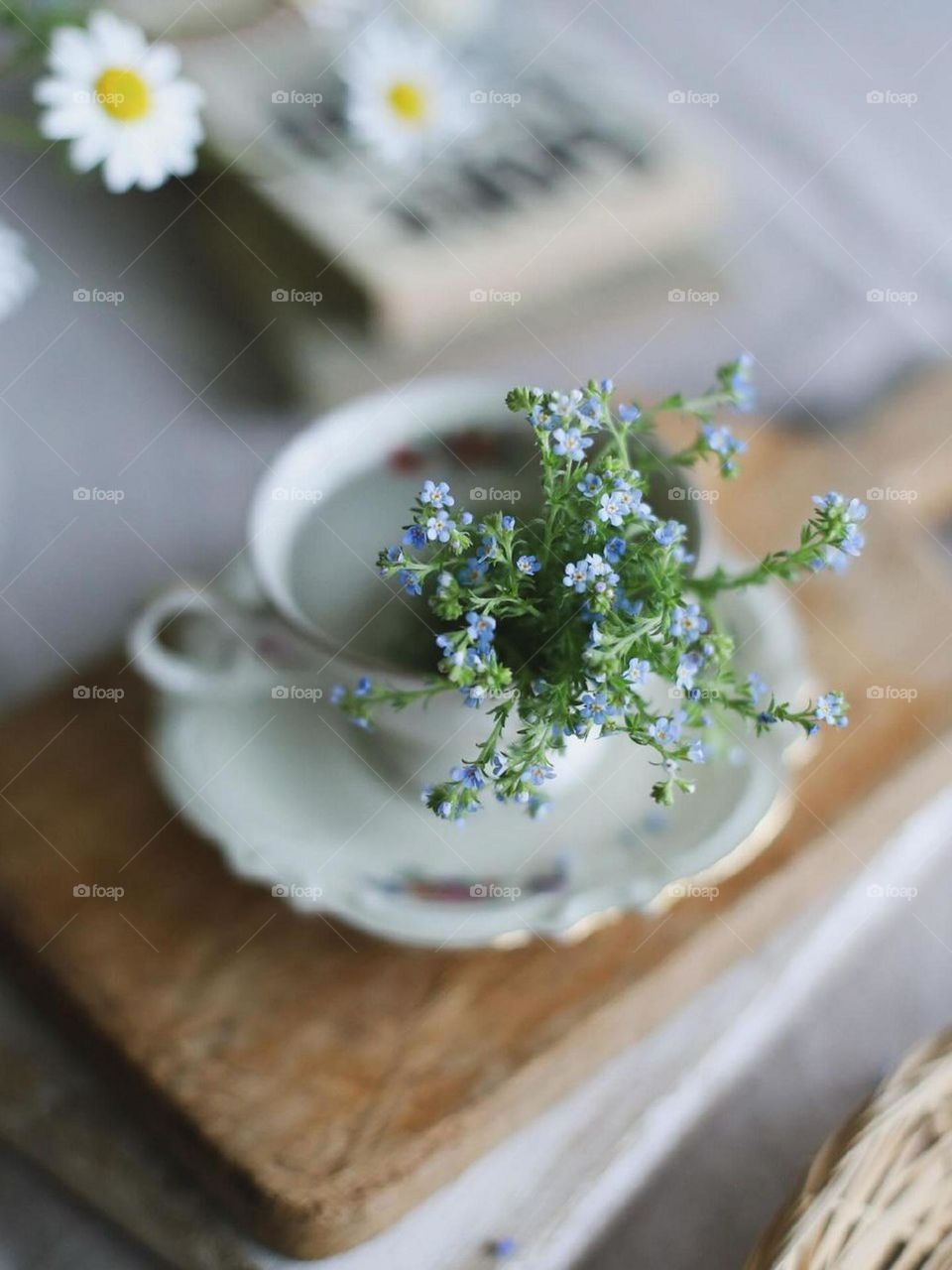 What are these beautiful flowers doing in my cup of milk?