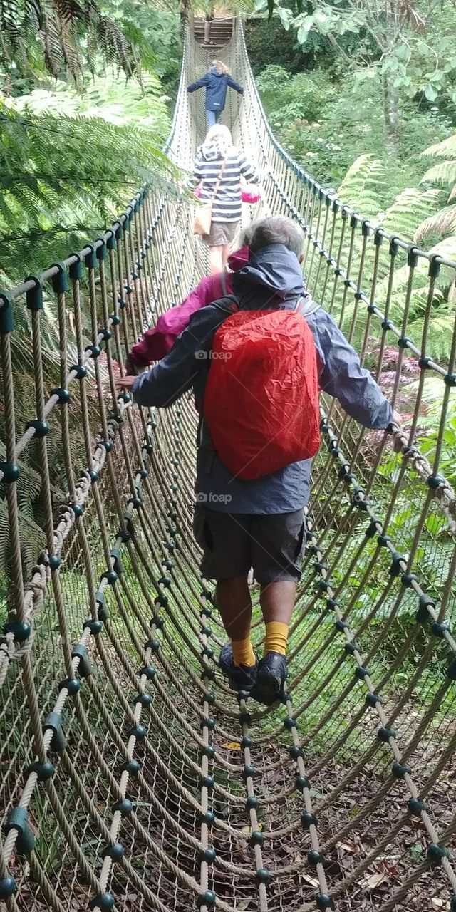 adventure and exploration, rope bridge over jungle.