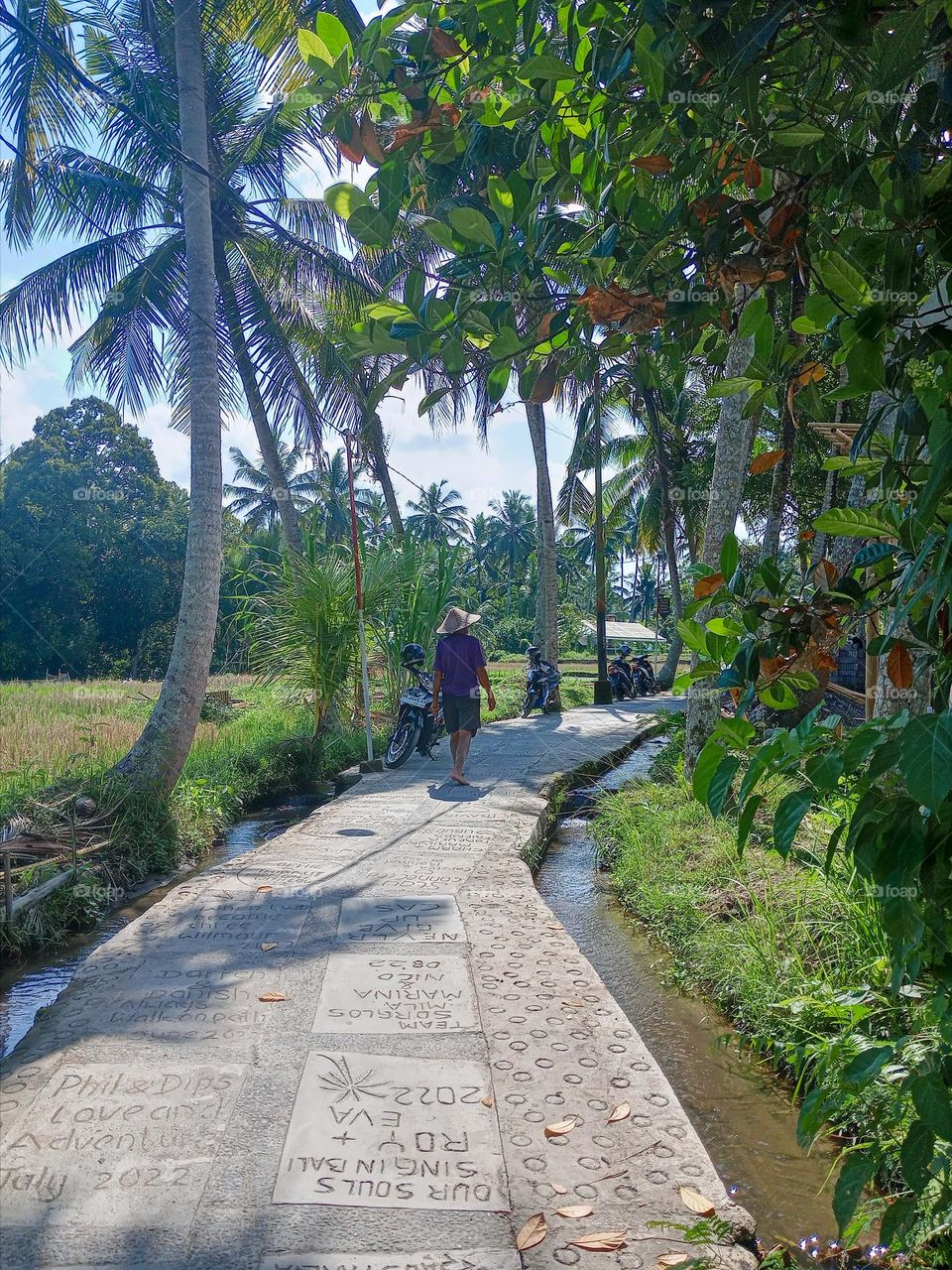 pathway into country landscape in ubud bali