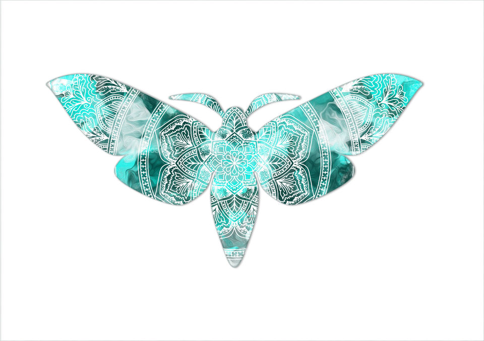 Mandala moth
