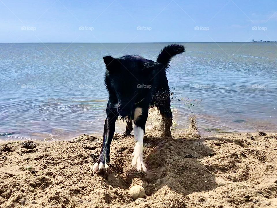 Buddelspaß am Nordseestrand 