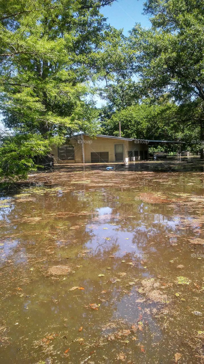 Lousiana Bayou Flooding