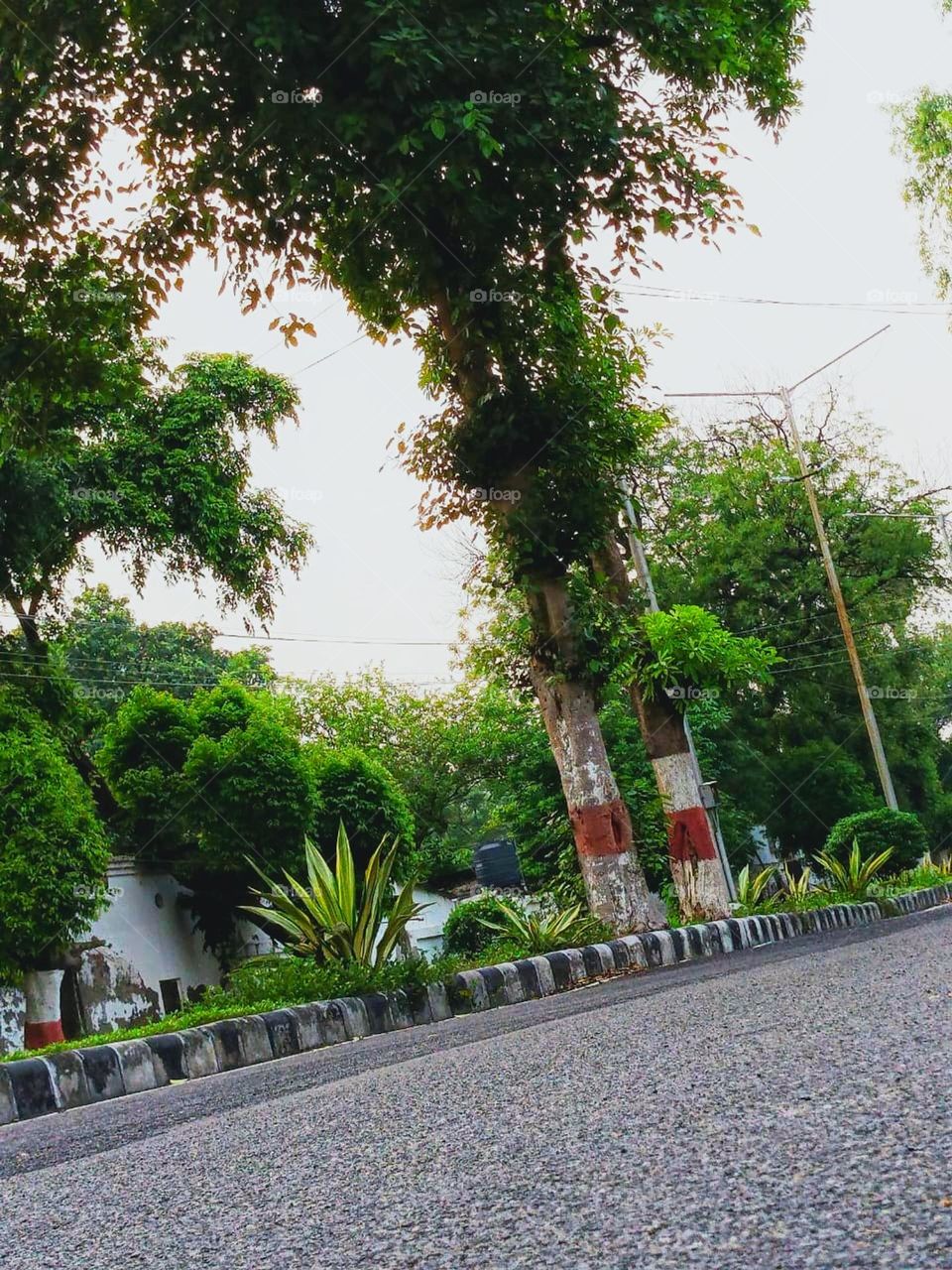 It really stands out on the side of the road.