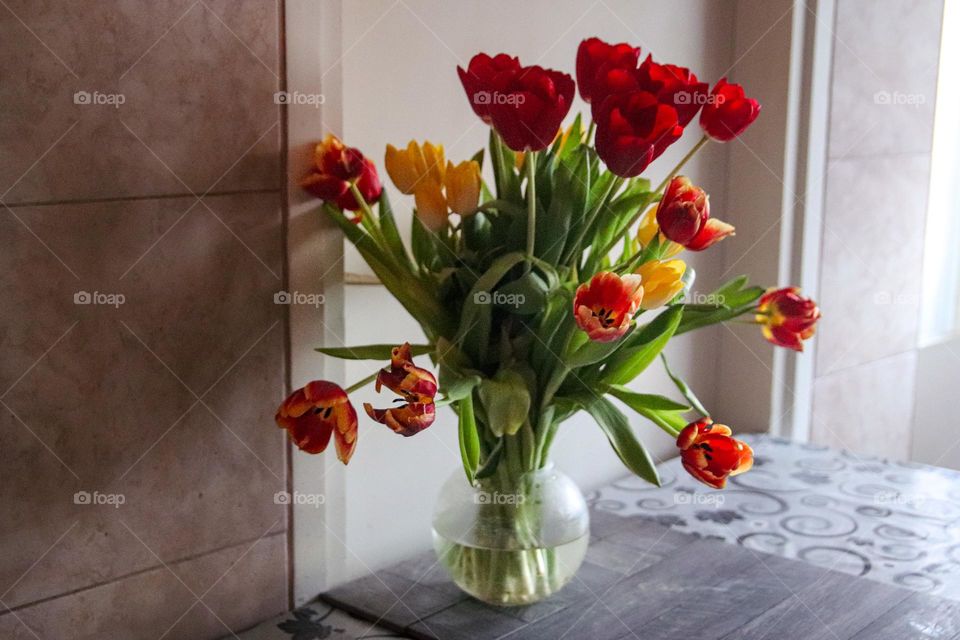 Tulips in a vase