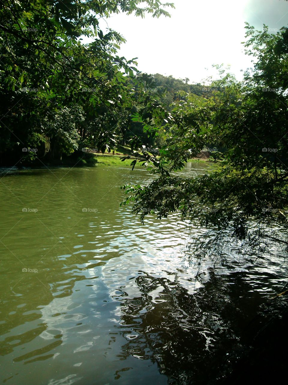 Water, River, Nature, Lake, No Person