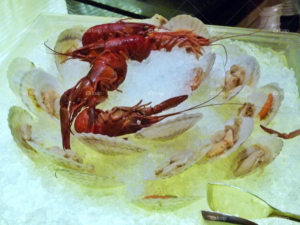 Cray fish or Scallop?