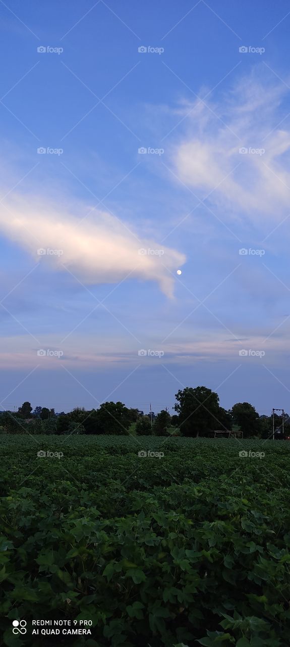 When the sun appears to have two sons, then the moon is seen, that scene looks very beautiful which makes the mind question.