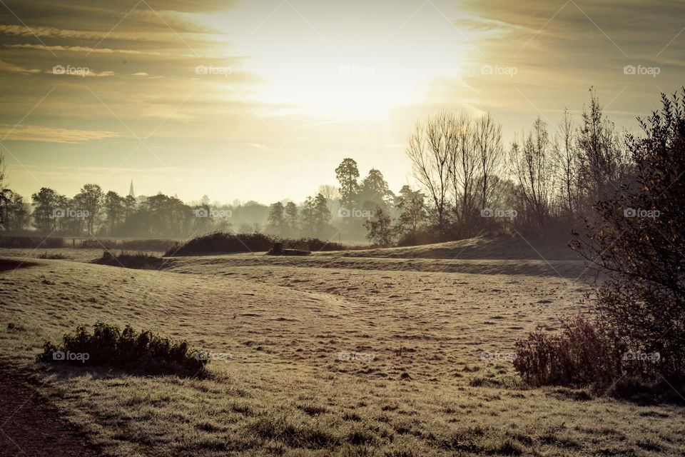 Bleak winter morning