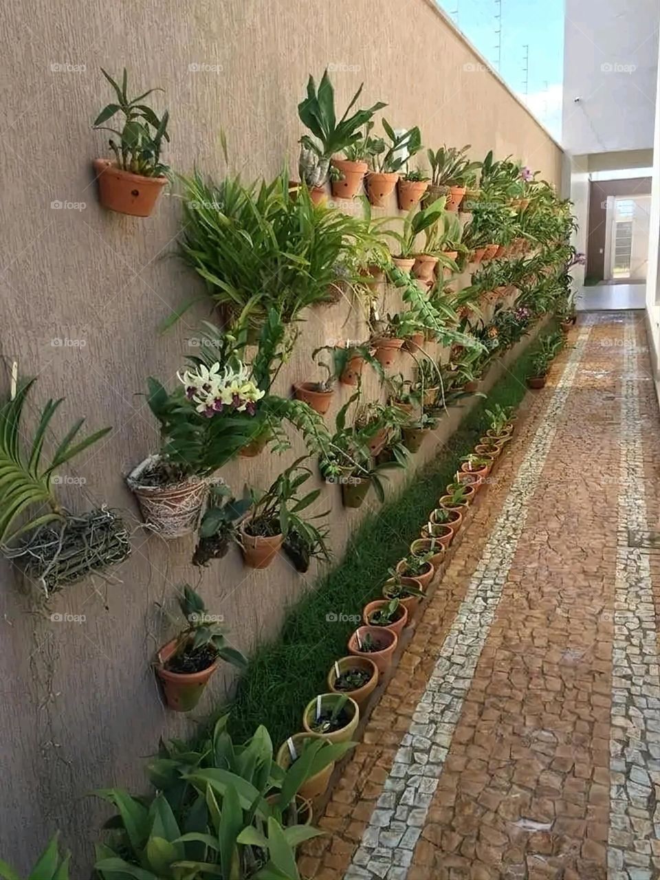 The image embodies a natural natural plate of the mountains of nature, where green agricultural stands are graded on the slopes as if they were lines of a poem, which fog harmoniously wrapped, and clouds hugged them in the mountain knife and the whis