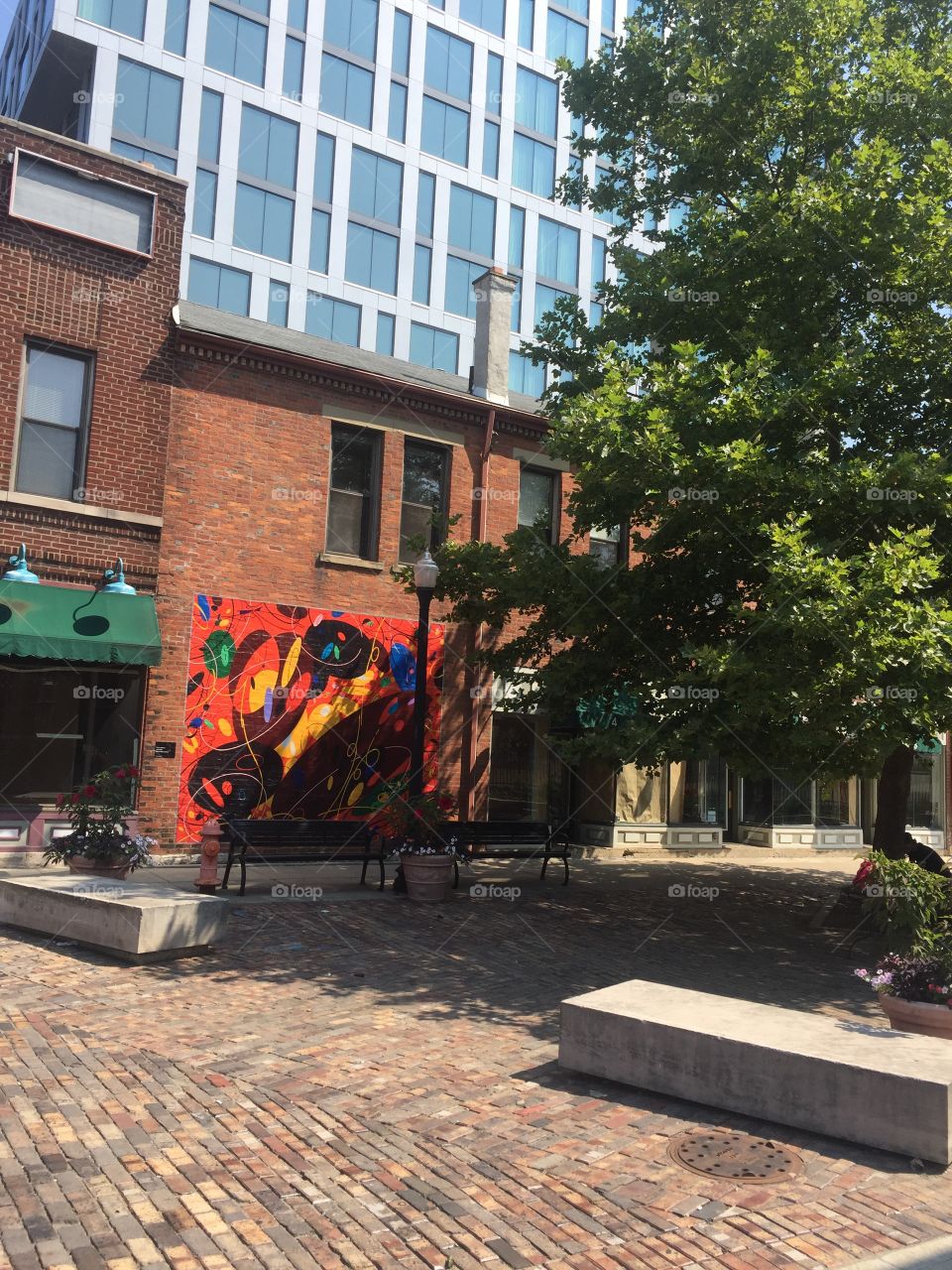 Downtown Mural Art