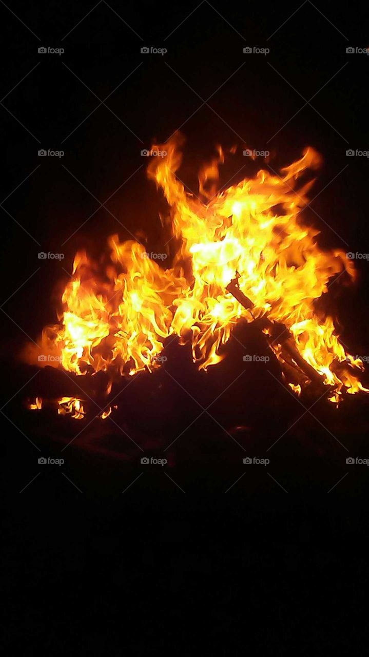 BonFire