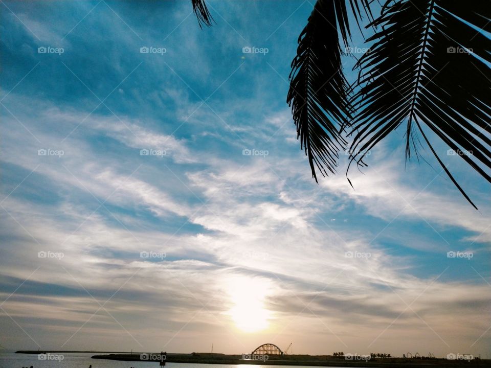 An Amazing view of Beach with a coconut tree and sunrise