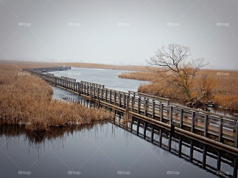 Boardwalk Point Pelee National Park