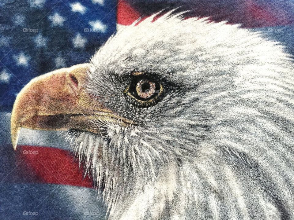 Patriotic Eagle. Patriotic Eagle
