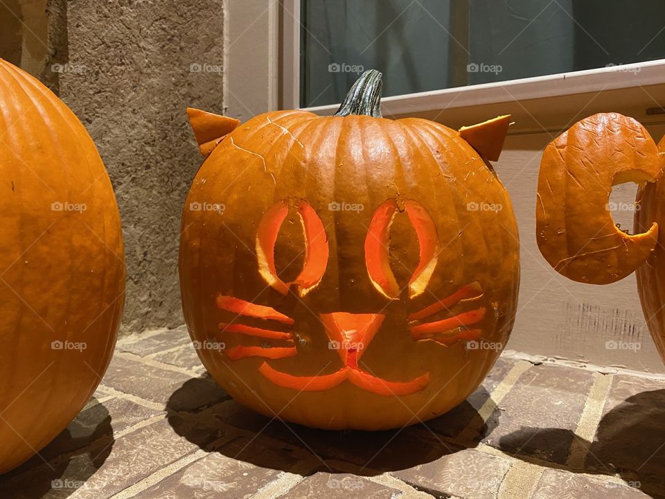 Cat jack-o-lantern pumpkin carving for halloween