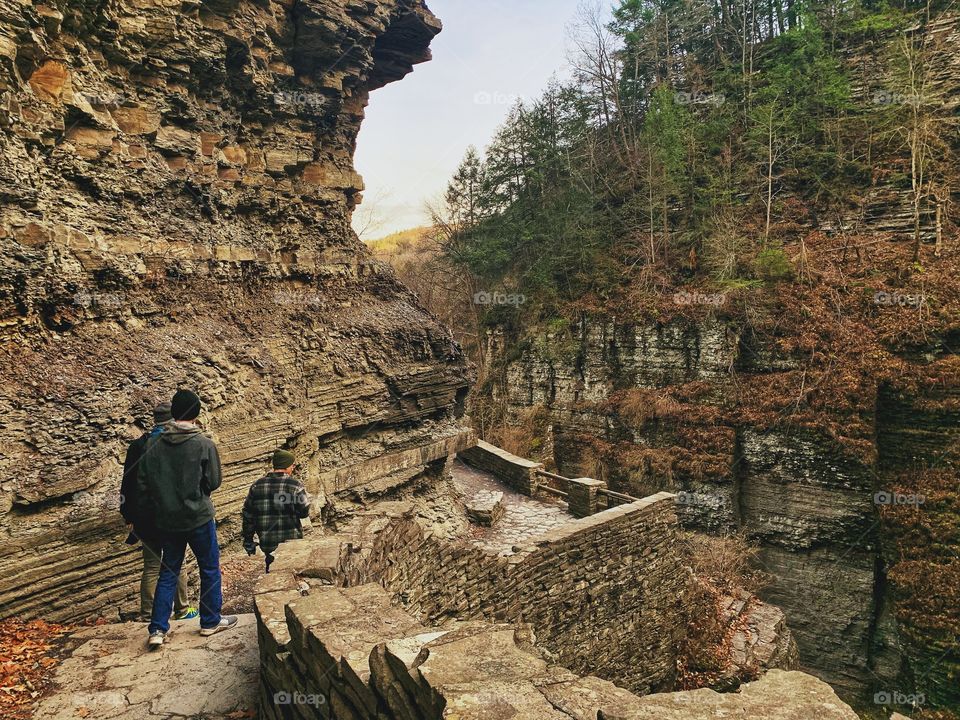 Walk on the wild side 