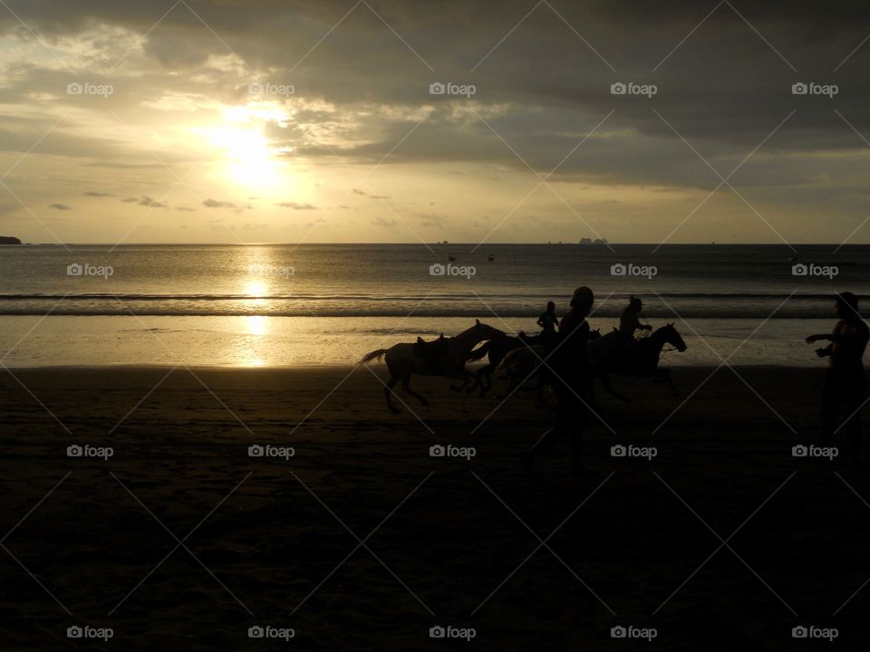 Horses running along the beach at sunset 
