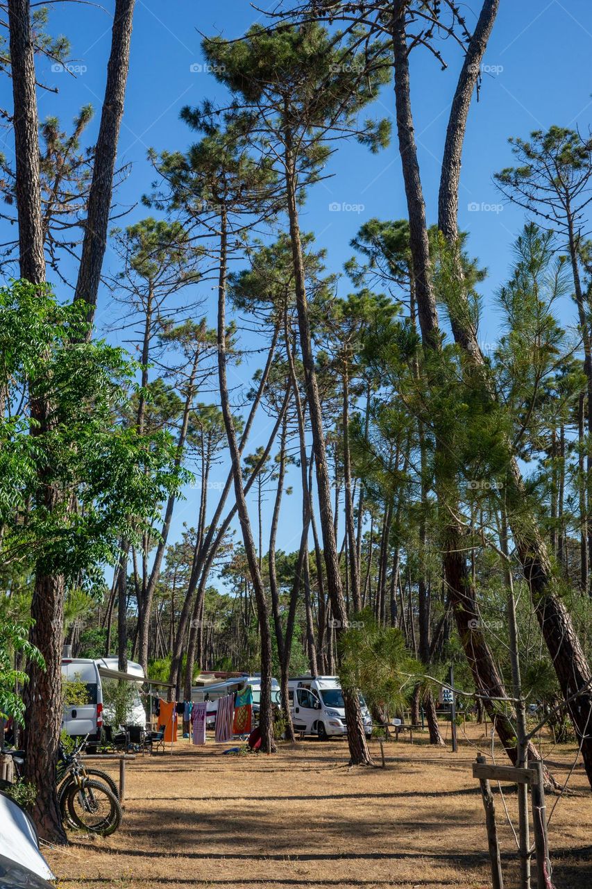 campsite, summertime