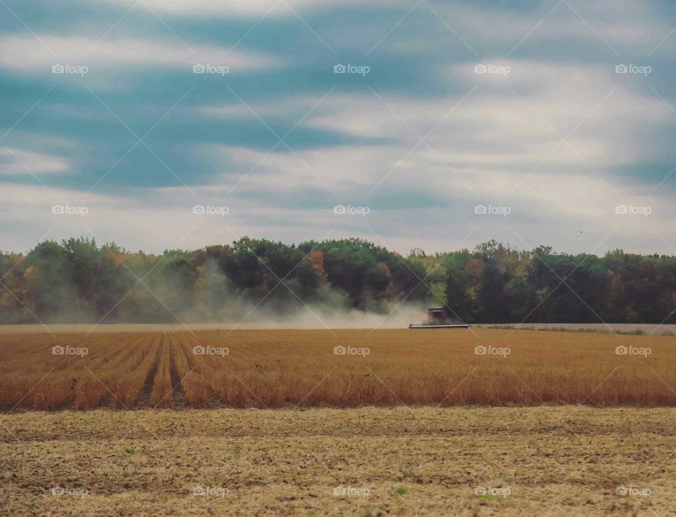 Tractor in a field in michigan