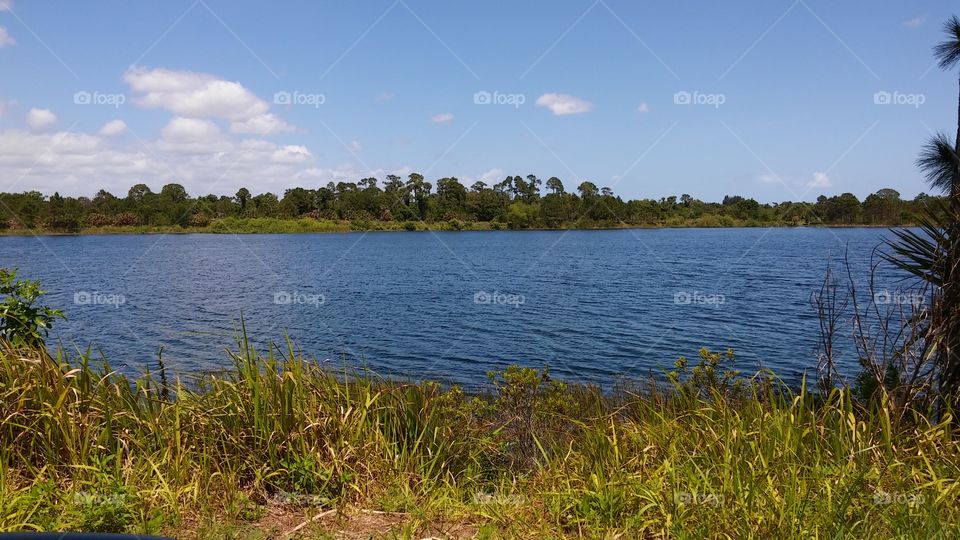 Calming day at a nature preserve...