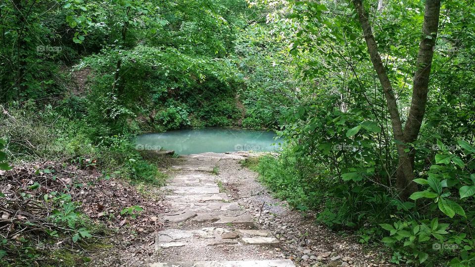 Althea Spring , North Fork River, Dora Missouri